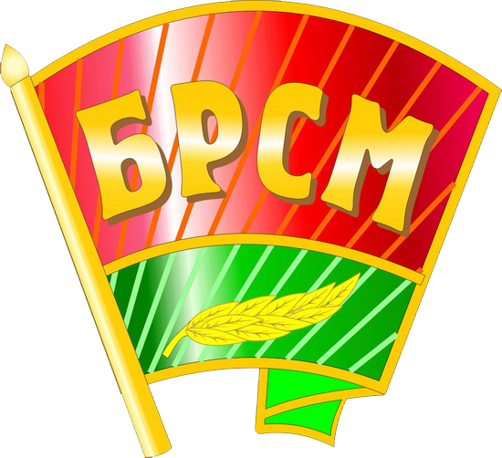 БРСМ.png