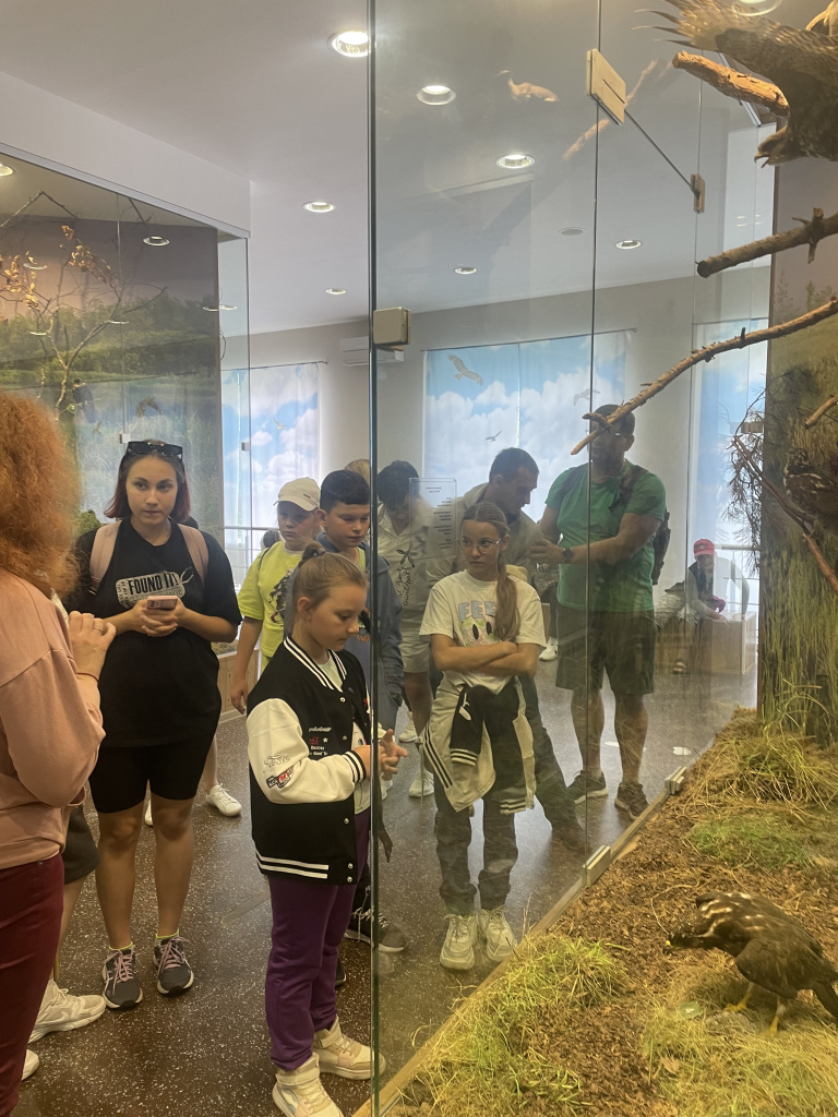 Мир заповедной флоры и фауны (1).jpeg