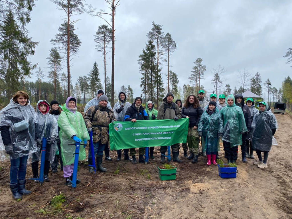 Создание памятных лесных культур.jpeg Создание памятных лесных культур.jpeg
